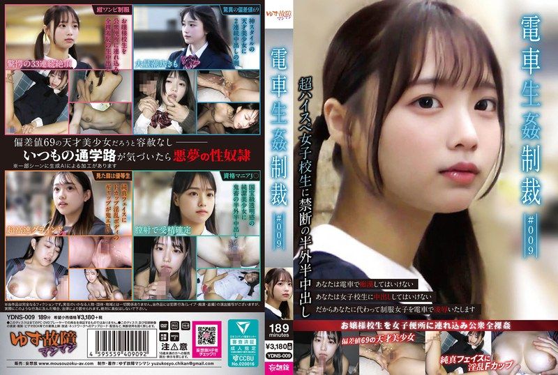YDNS-009